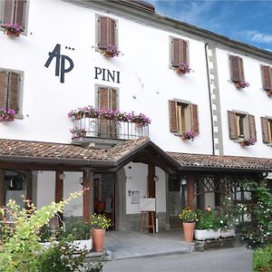 Hotel Pini